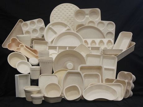 Chamness Biodegradable Compostable Packaging